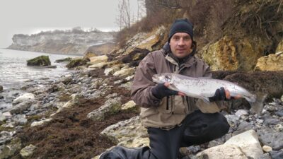 Atlantic salmon, 2.5 kg — Baltic Sea