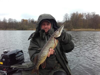 Northern Pike, 1.8 kg