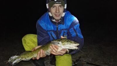 Burbot, 1.7 kg — Neman River