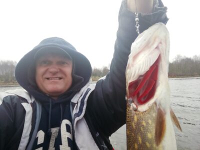 Northern Pike, 1.0 kg