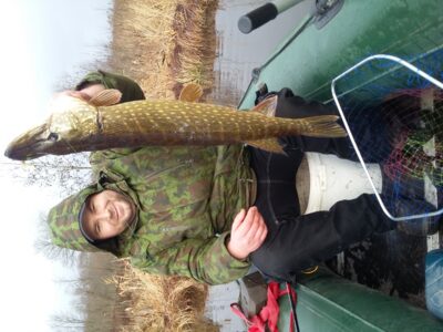 Northern Pike, 5.5 kg