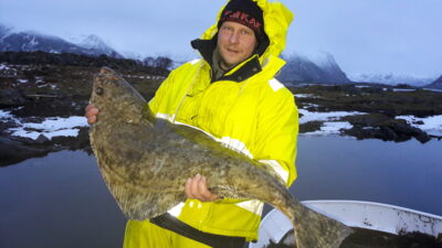 Turbot