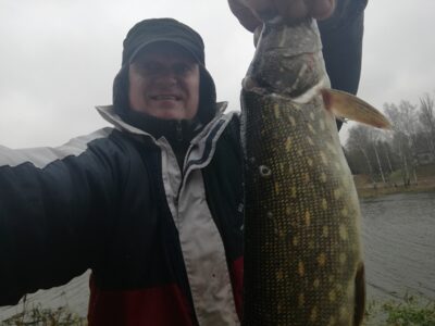 Northern Pike, 1.1 kg