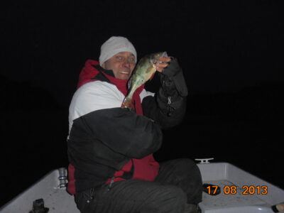 Eurasian perch, 0.4 kg — Sartai