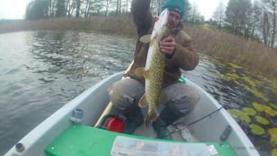 Northern Pike, 2.6 kg — Sartai