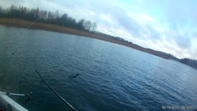 Northern Pike — Sartai