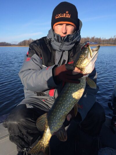 Northern Pike, 2.5 kg