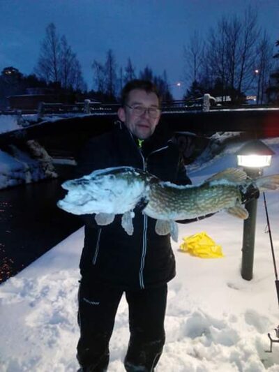 Northern Pike