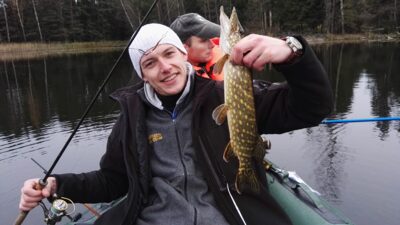 Northern Pike — Pazelvės