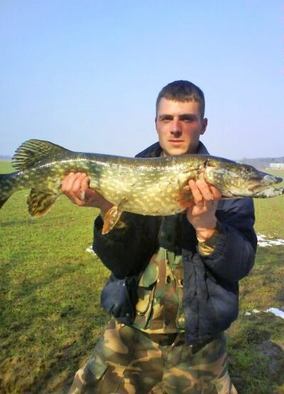 Northern Pike, 6.3 kg — Venta