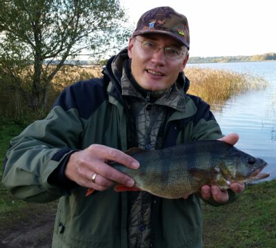 Eurasian perch, 0.9 kg