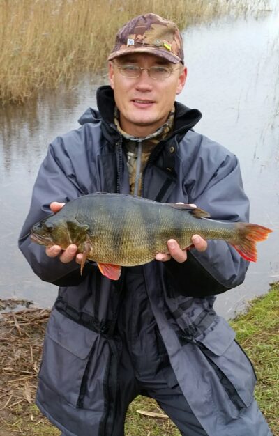 Eurasian perch, 1.7 kg