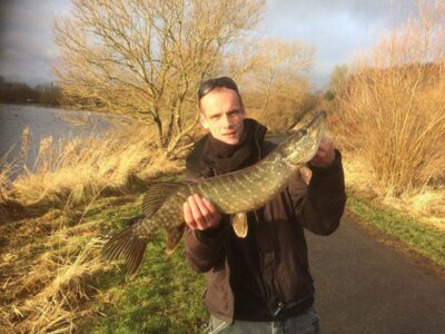 Pike, 2.4 kg
