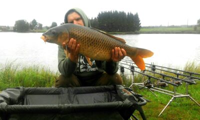Carp, 8.8 kg