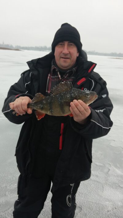 Eurasian perch, 1.1 kg