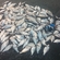 Carp bream