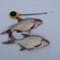 Carp bream