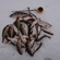 Roach