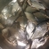 Carp bream