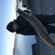 Burbot