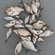 Carp bream
