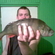 Eurasian perch