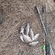 Crucian carp