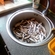 European smelt