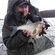 Carp bream