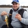 Eurasian perch