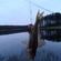 Carp