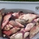 Carp bream