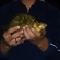 Crucian carp