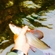 Grayling