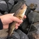 Atlantic cod