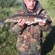 Pike perch