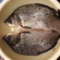Prussian carp