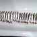 Roach