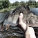 Eurasian perch