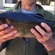 Tench