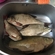 Tench