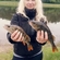 Eurasian perch