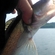 Pike perch
