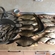 Carp bream