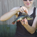 Eurasian perch