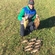 Tench