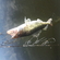 Pike perch