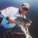 Carp bream