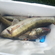 Pike perch