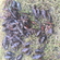Delcore Crayfish